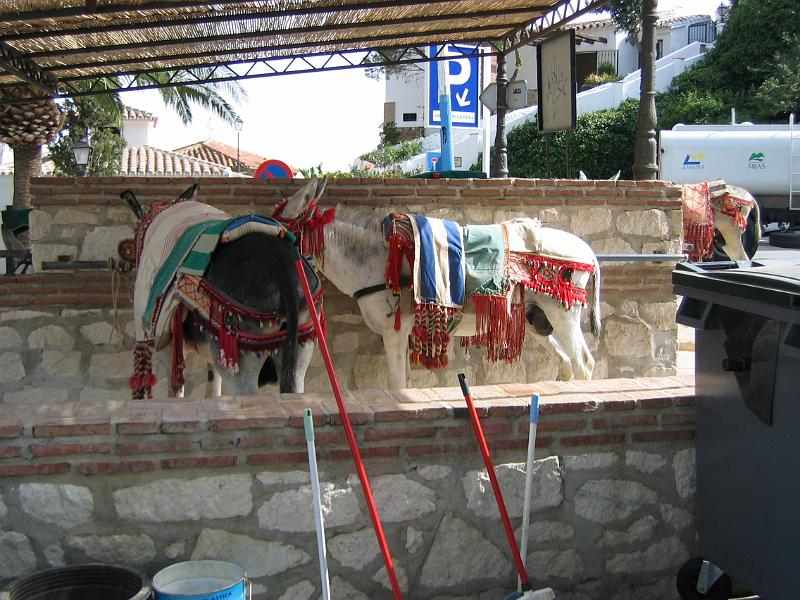 Spanje Estepona 185